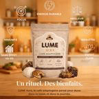 Café adaptogène LUME Aura avec champignons, bénéfices focus, énergie durable, équilibre et bien-être naturel.