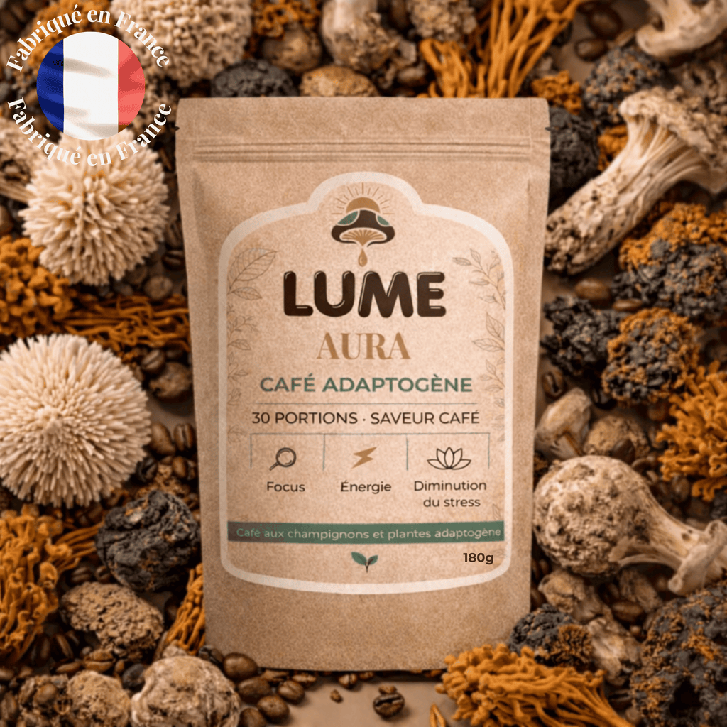 Sachet de café adaptogène LUME Aura entouré de champignons Lion’s Mane, Chaga et Cordyceps, énergie naturelle et focus sans stress.