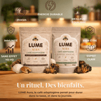 Sachets LUME Aura café adaptogène avec champignons adaptogènes présentant les bienfaits focus, énergie et diminution du stress